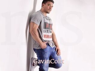 GavinColtt