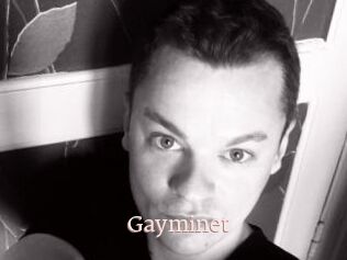 Gayminet