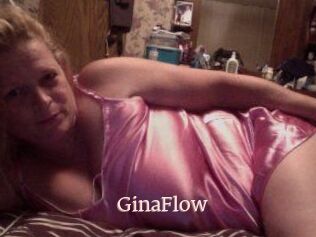 Gina_Flow