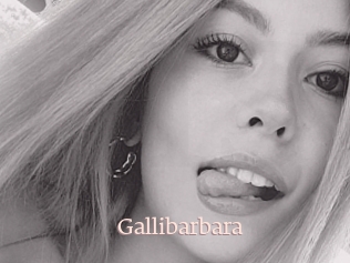 Gallibarbara