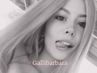 Gallibarbara