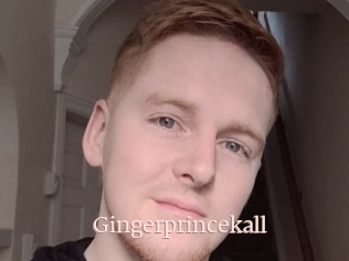 Gingerprincekall