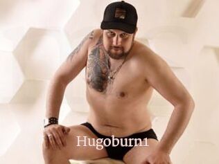 Hugoburn1