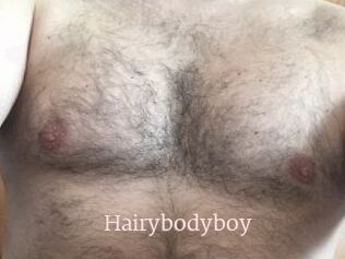 Hairybodyboy