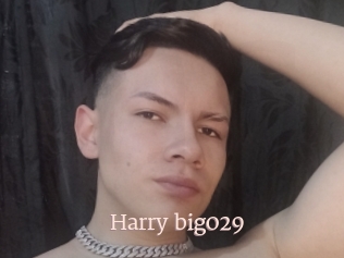 Harry_big029