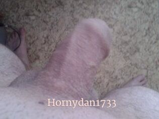 Hornydan1733