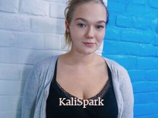 KaliSpark