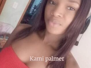 Kami_palmer