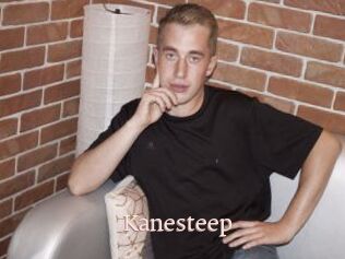 Kanesteep