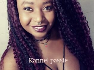 Kannel_passie