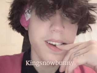 Kingsnowbunny