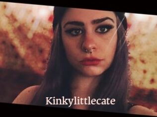 Kinkylittlecate