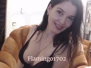 Flamingo1702