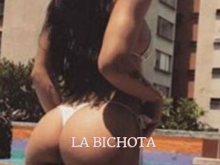 LA_BICHOTA