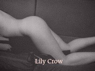 Lily_Crow