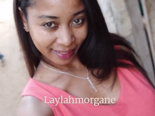 Laylahmorgane