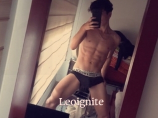 Leoignite