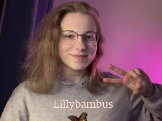 Lillybambus