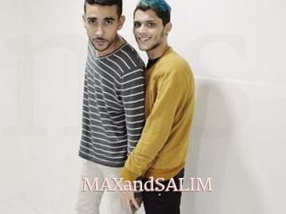 MAXandSALIM