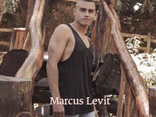 Marcus_Levit