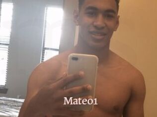 Mateo1