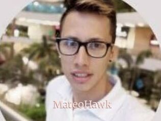 MateoHawk