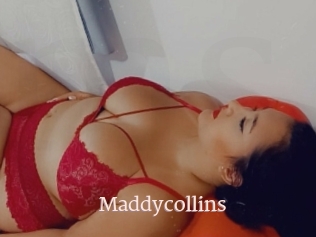 Maddycollins