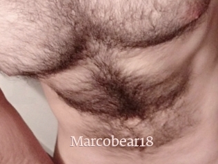 Marcobear18