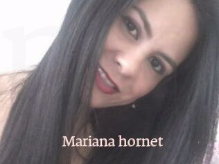 Mariana_hornet