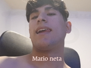 Mario_neta