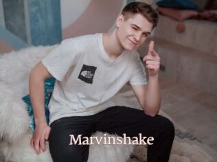 Marvinshake