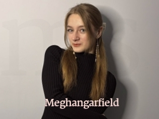 Meghangarfield