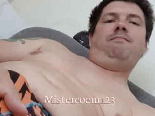 Mistercoeur123