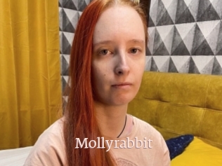 Mollyrabbit