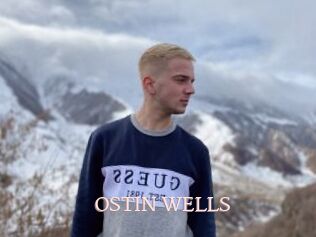 OSTIN_WELLS