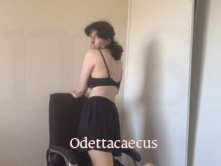 Odettacaecus