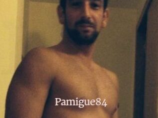 Pamigue84