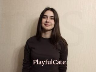 PlayfulCate
