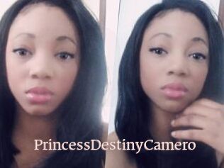 PrincessDestinyCamero