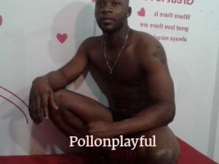 Pollonplayful