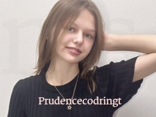 Prudencecodringt