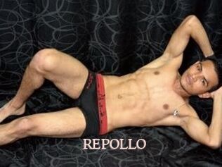 REPOLLO