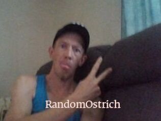 RandomOstrich