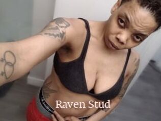 Raven_Stud