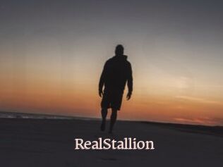 RealStallion