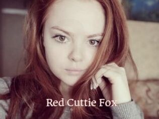 Red_Cuttie_Fox