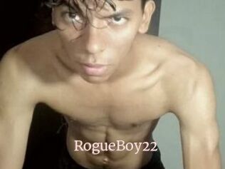 RogueBoy22