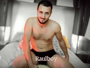 Raulboy