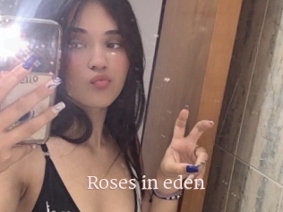 Roses_in_eden