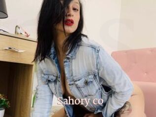 Sahory_co